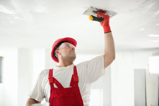 Professional Dry wall and painting in Lacoochee, FL