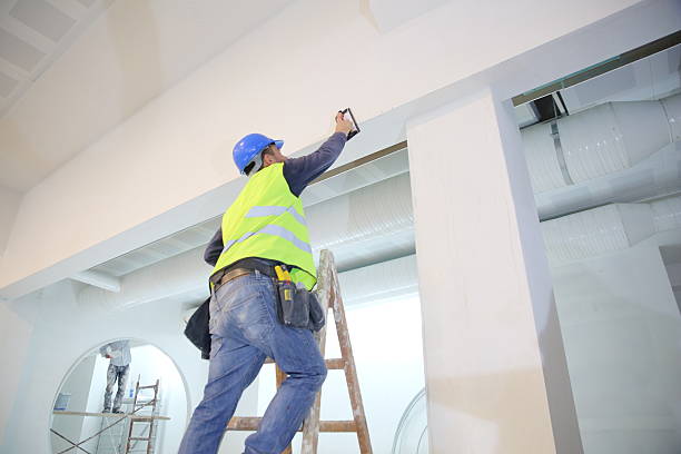 Best Water-Damaged Drywall Repair  in Lacoochee, FL